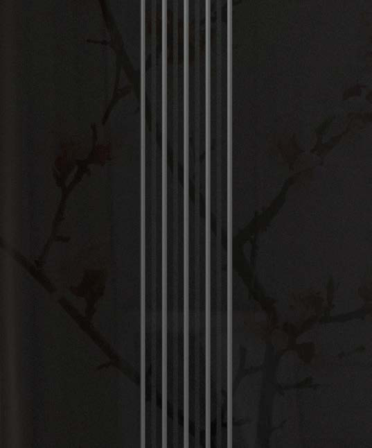 Détail du vitrage Infinité – noir, visuel Novatech